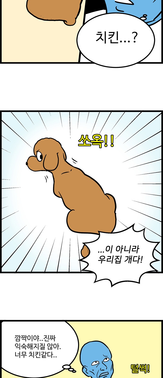 5 페이지