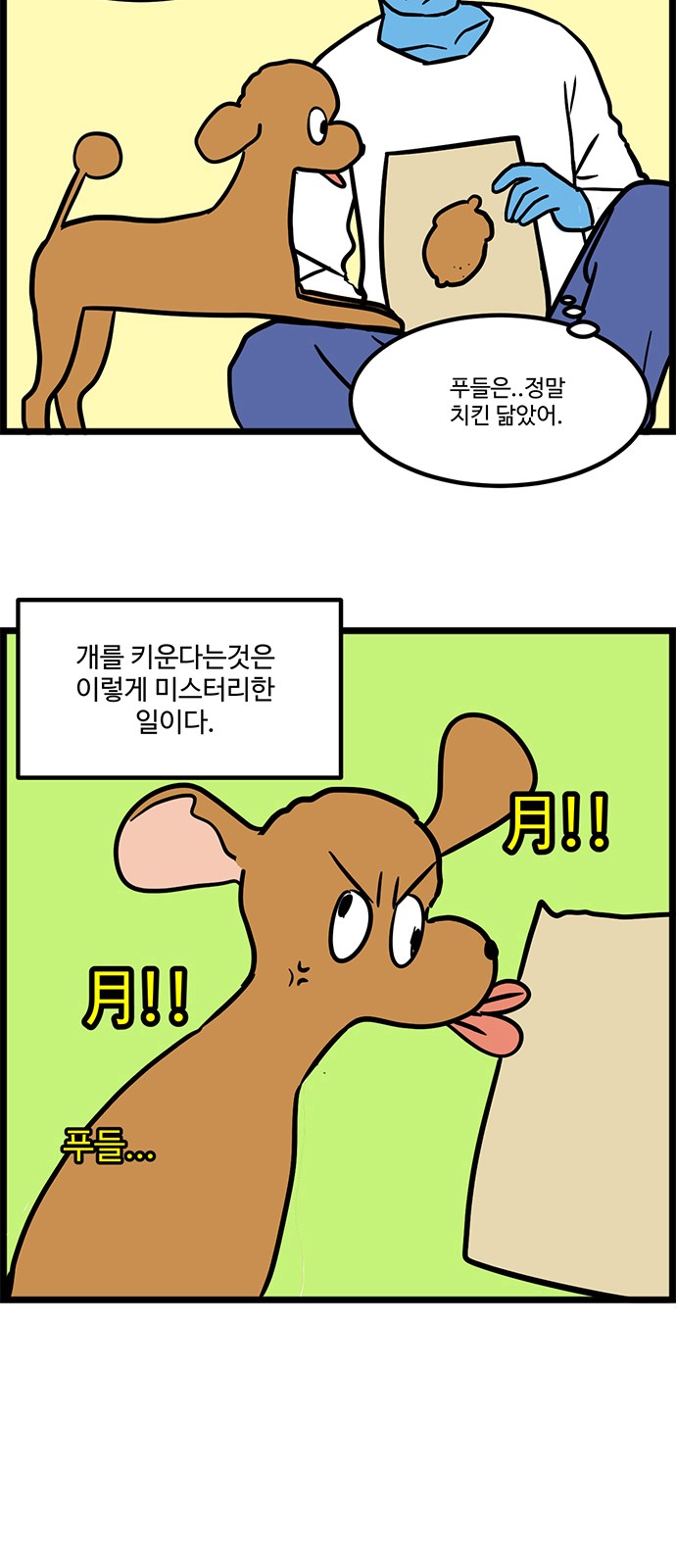 6 페이지