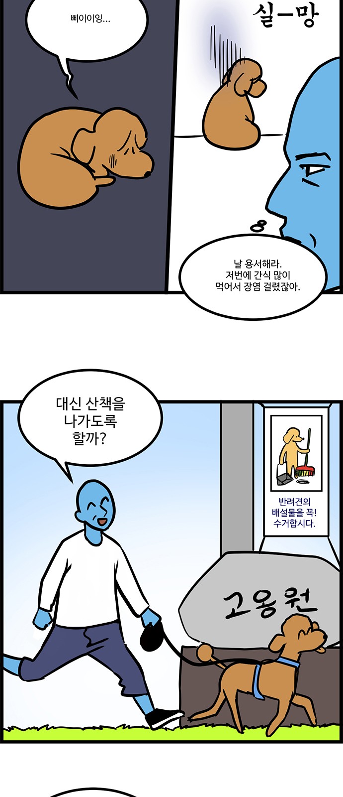 11 페이지
