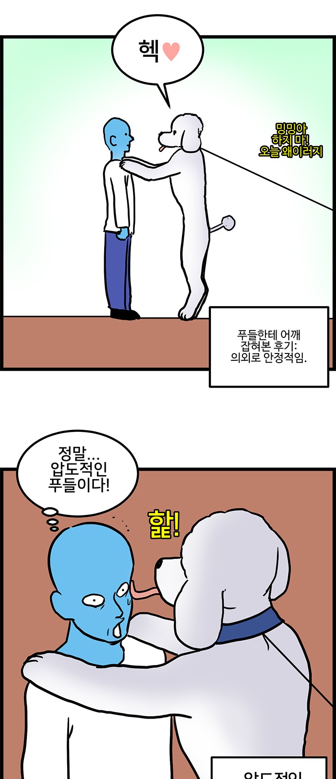 13 페이지