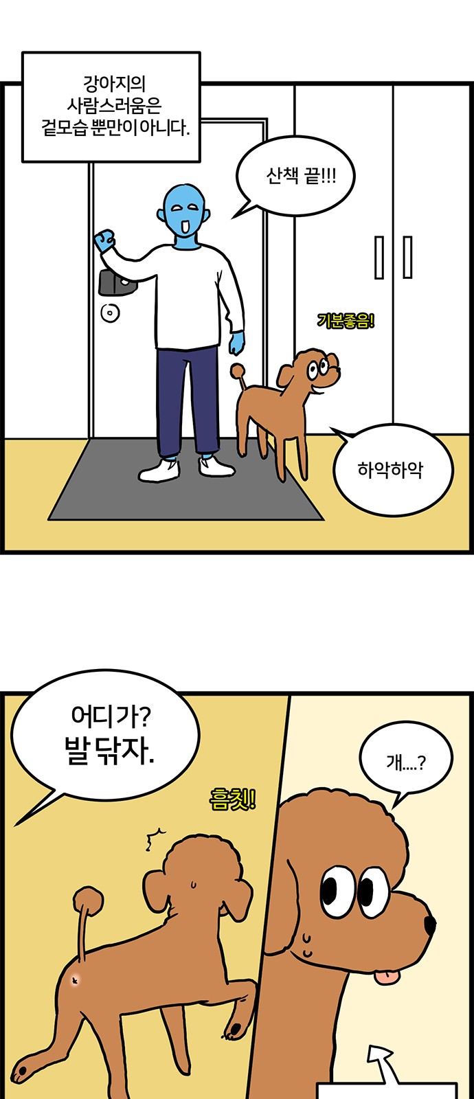 5 페이지