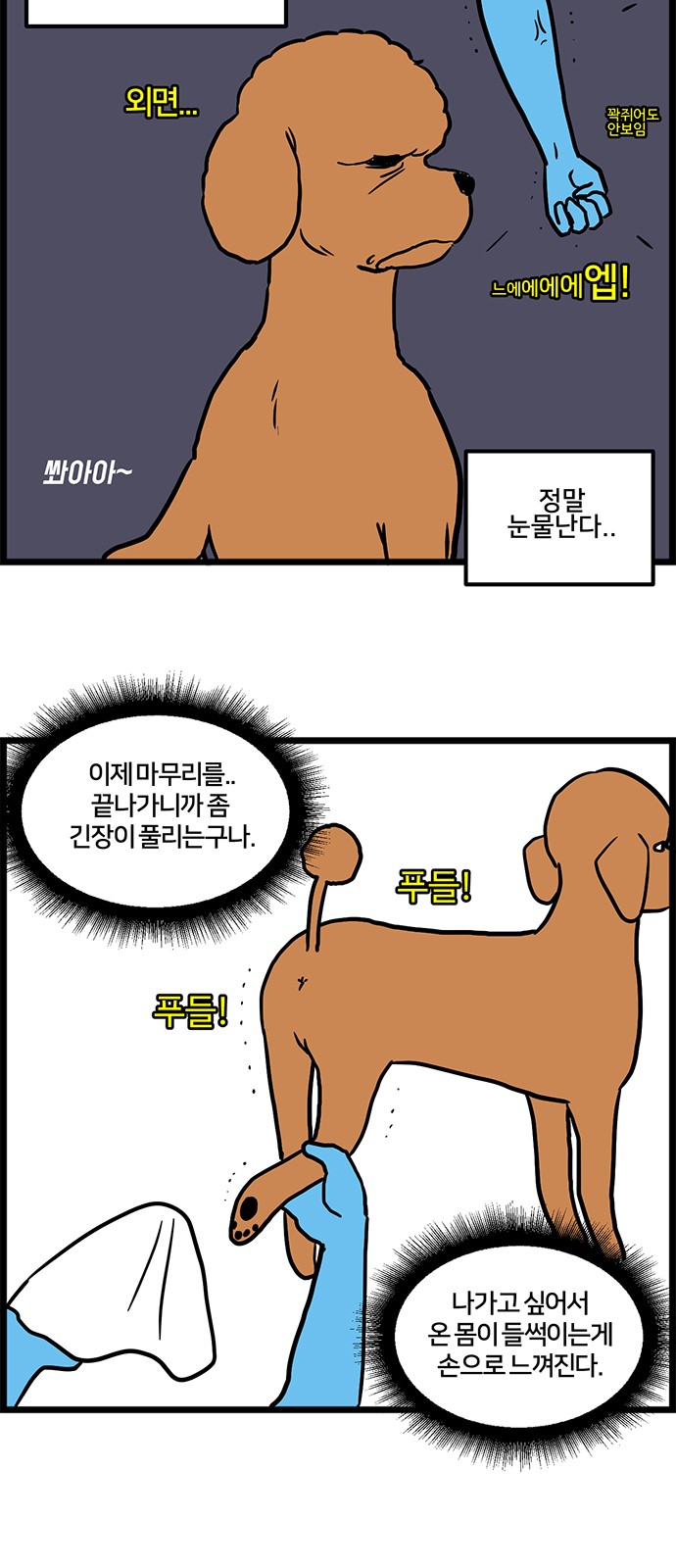 8 페이지