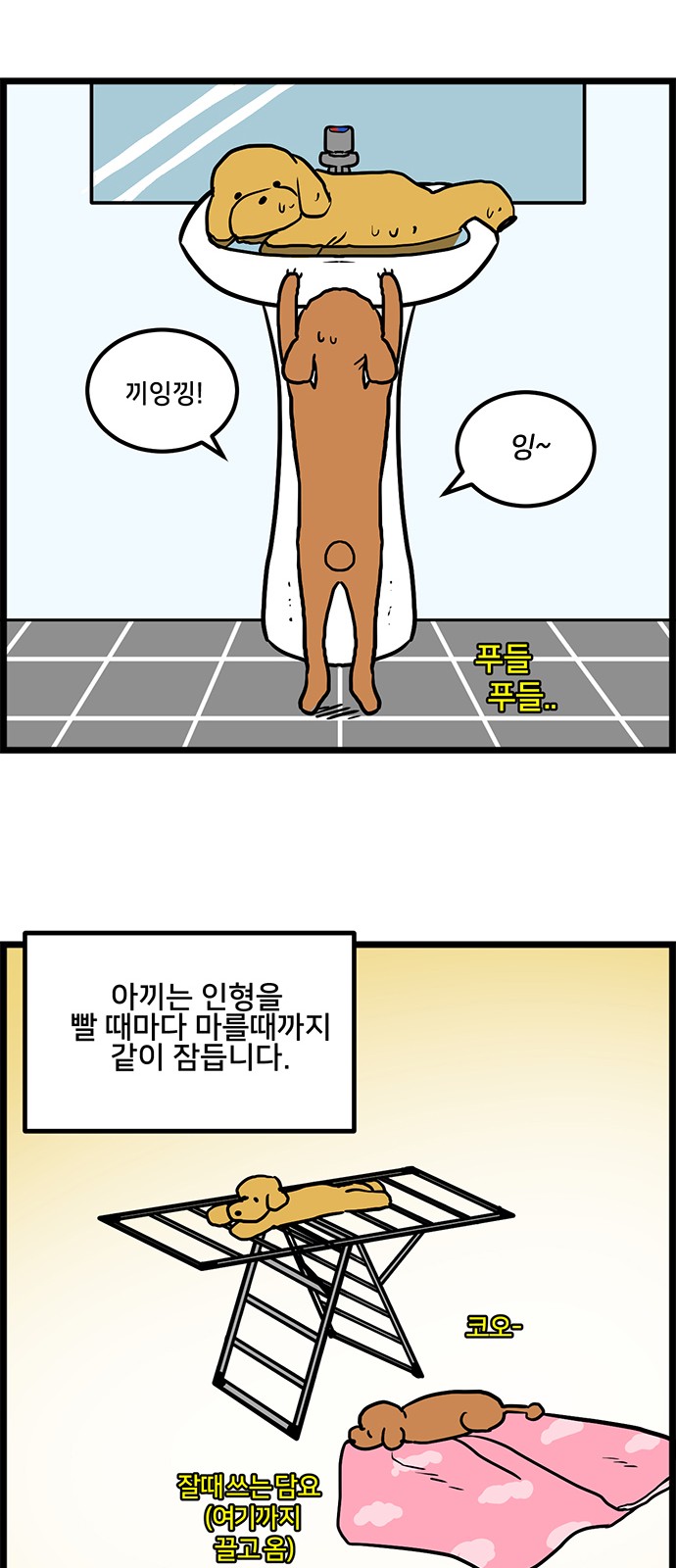 13 페이지
