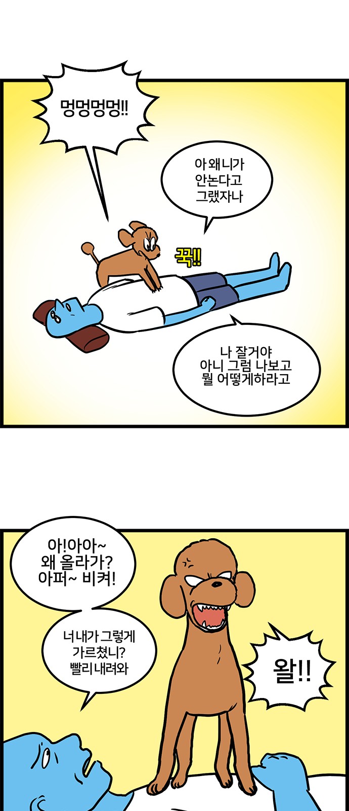 13 페이지