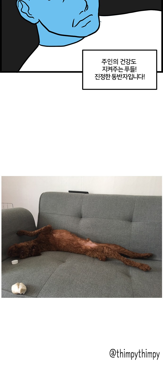 15 페이지