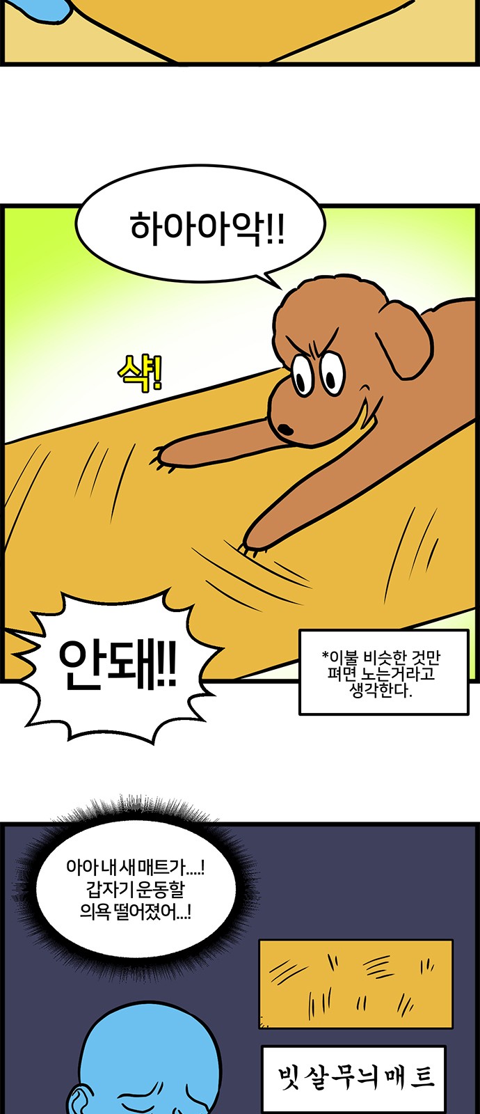 3 페이지