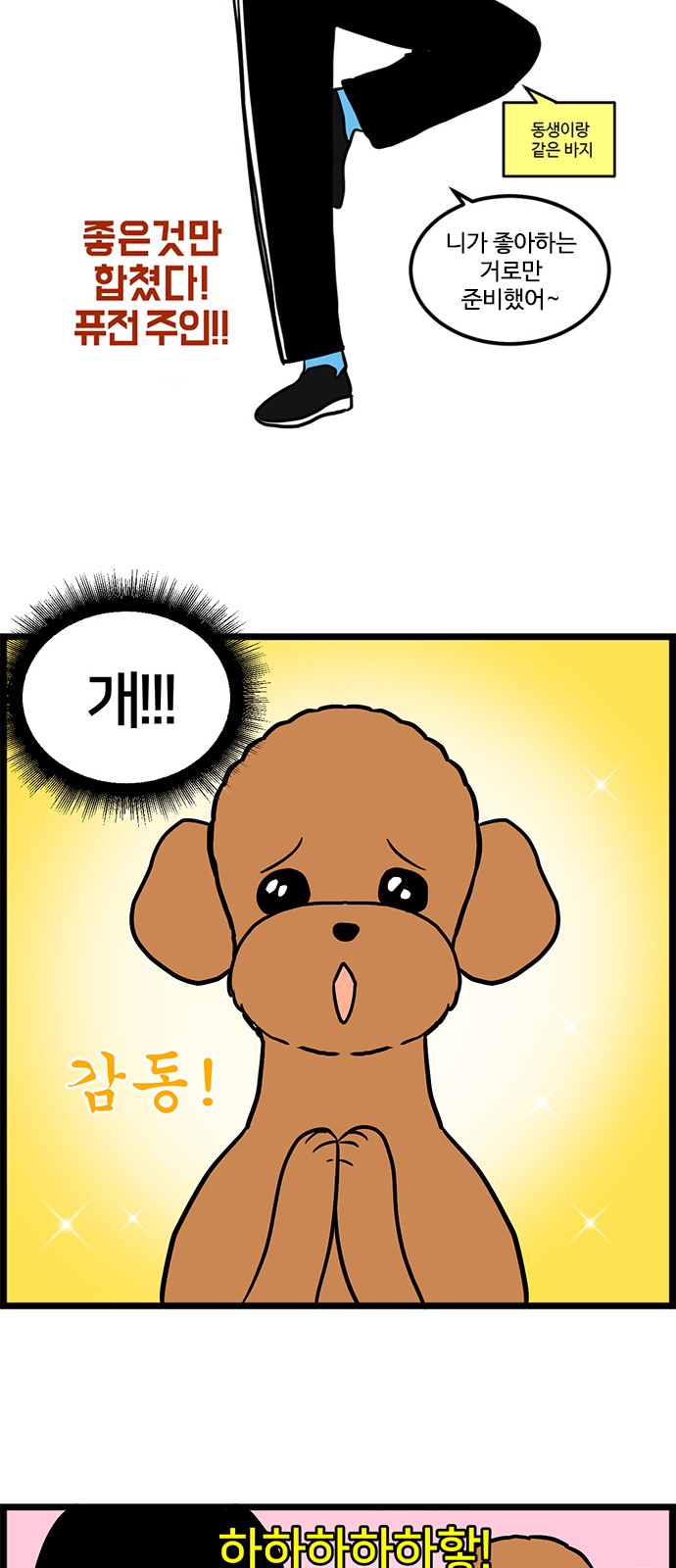 13 페이지