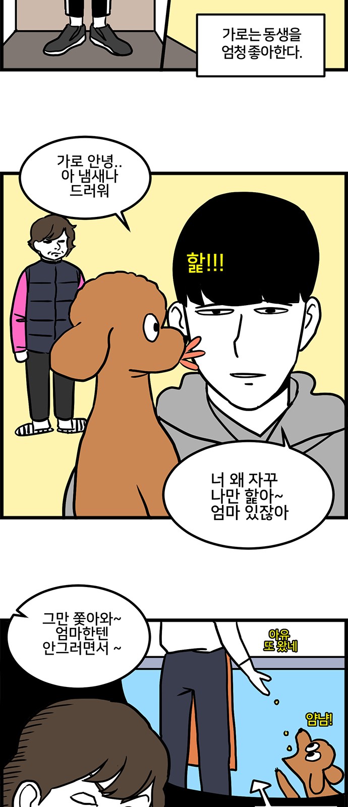 3 페이지