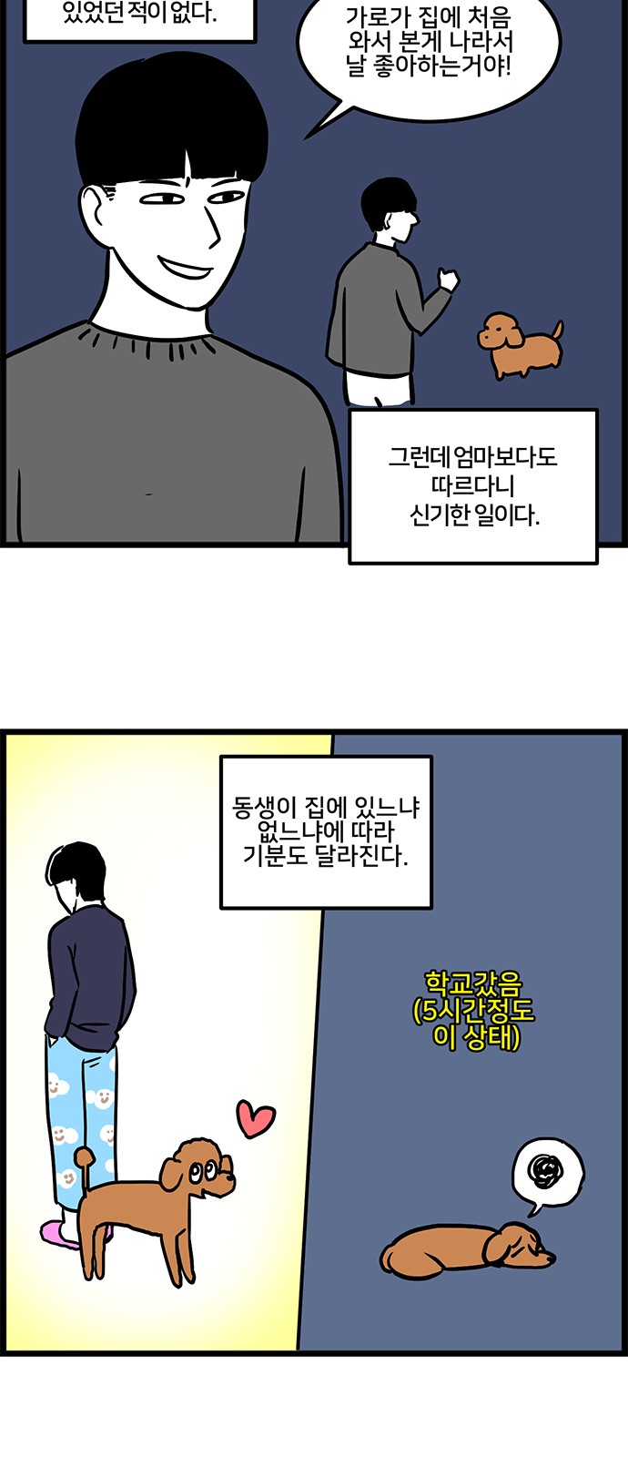 5 페이지