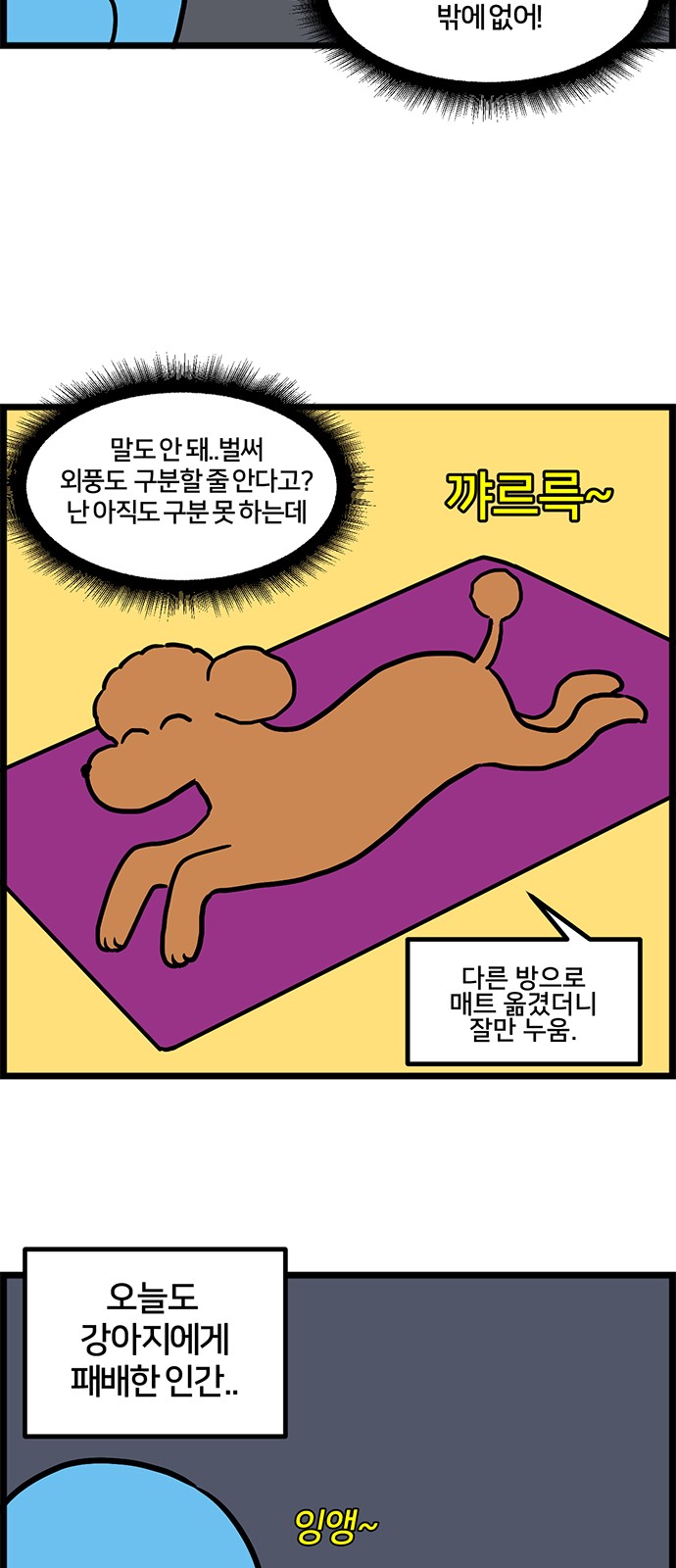 14 페이지