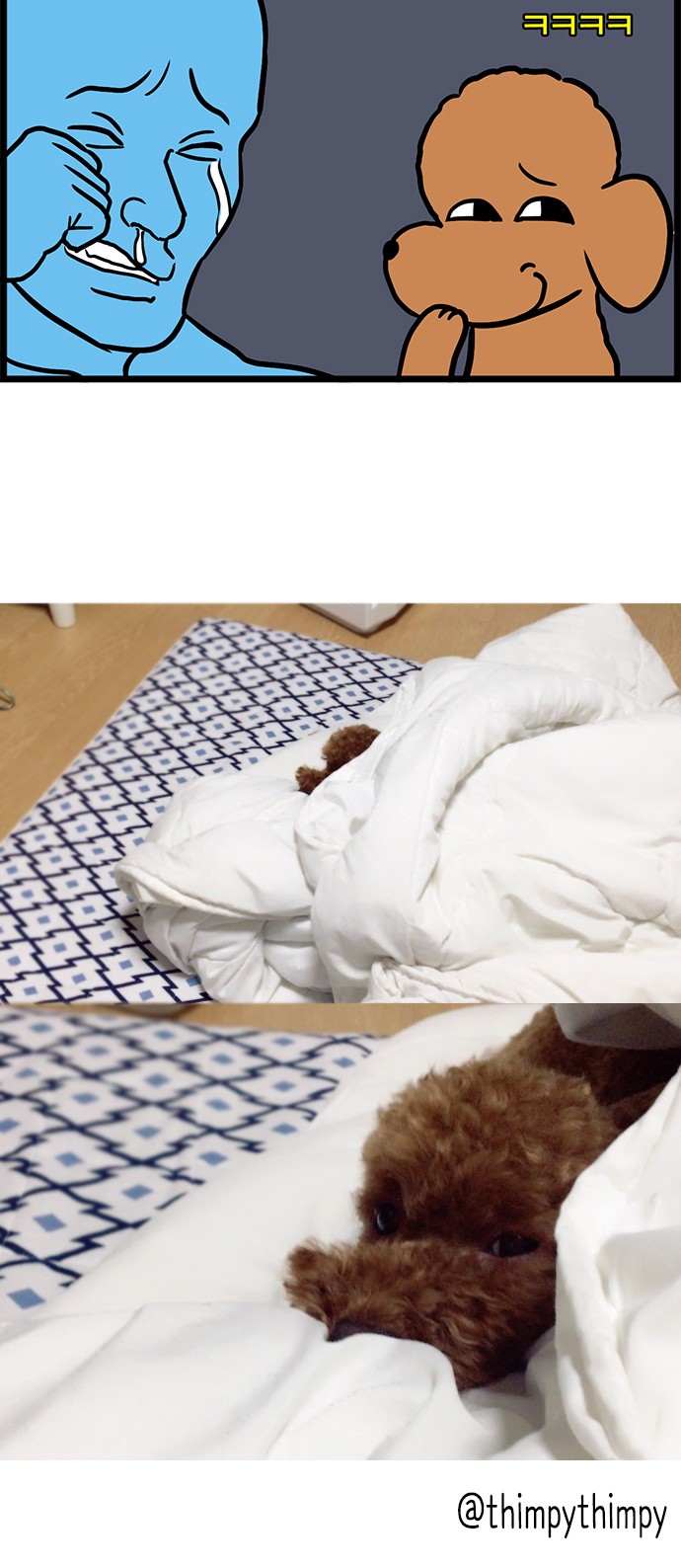 15 페이지