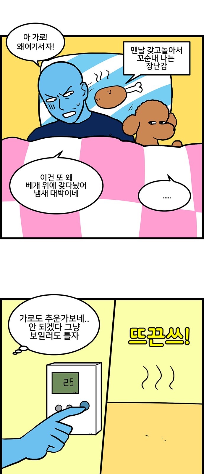 5 페이지