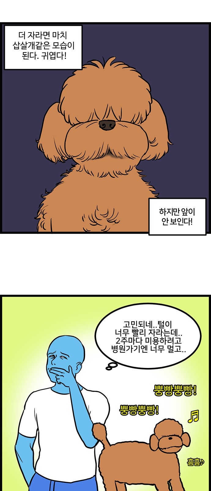 13 페이지