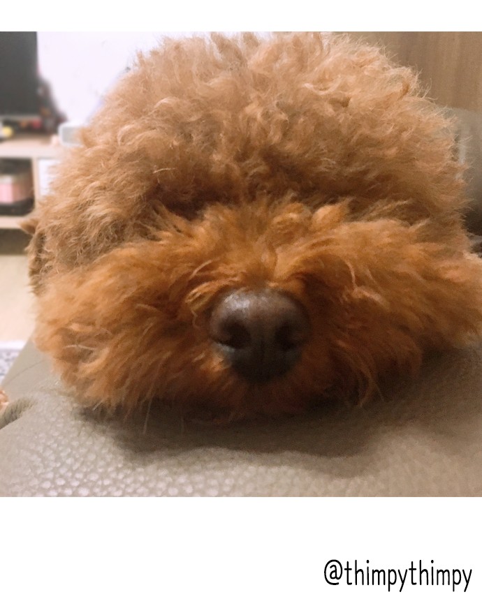16 페이지
