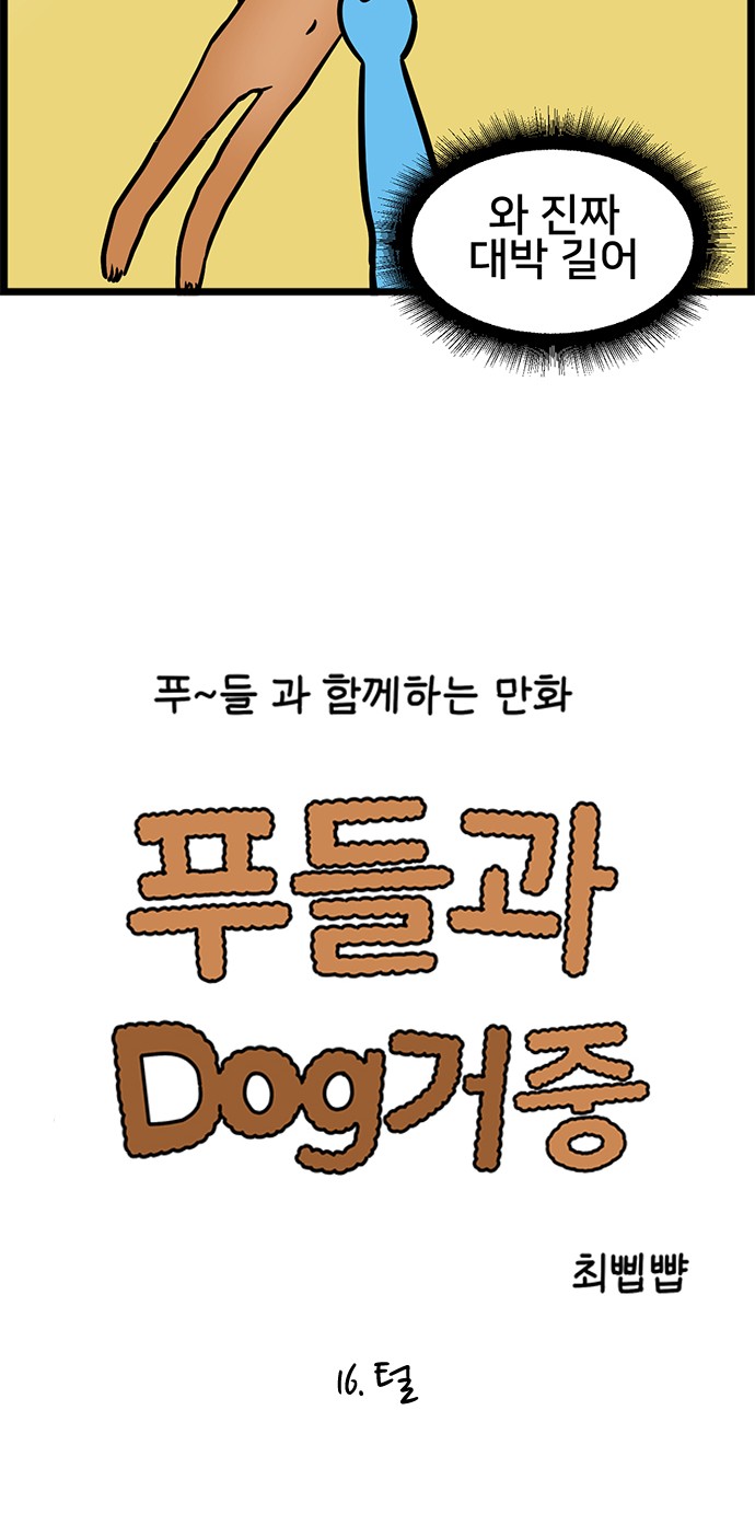 4 페이지