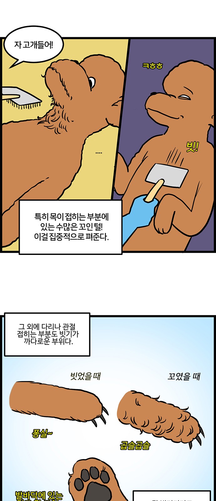 5 페이지