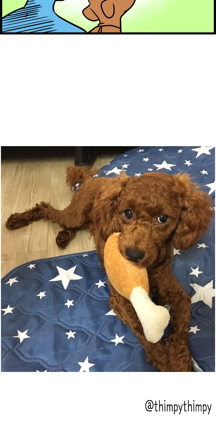 15 페이지