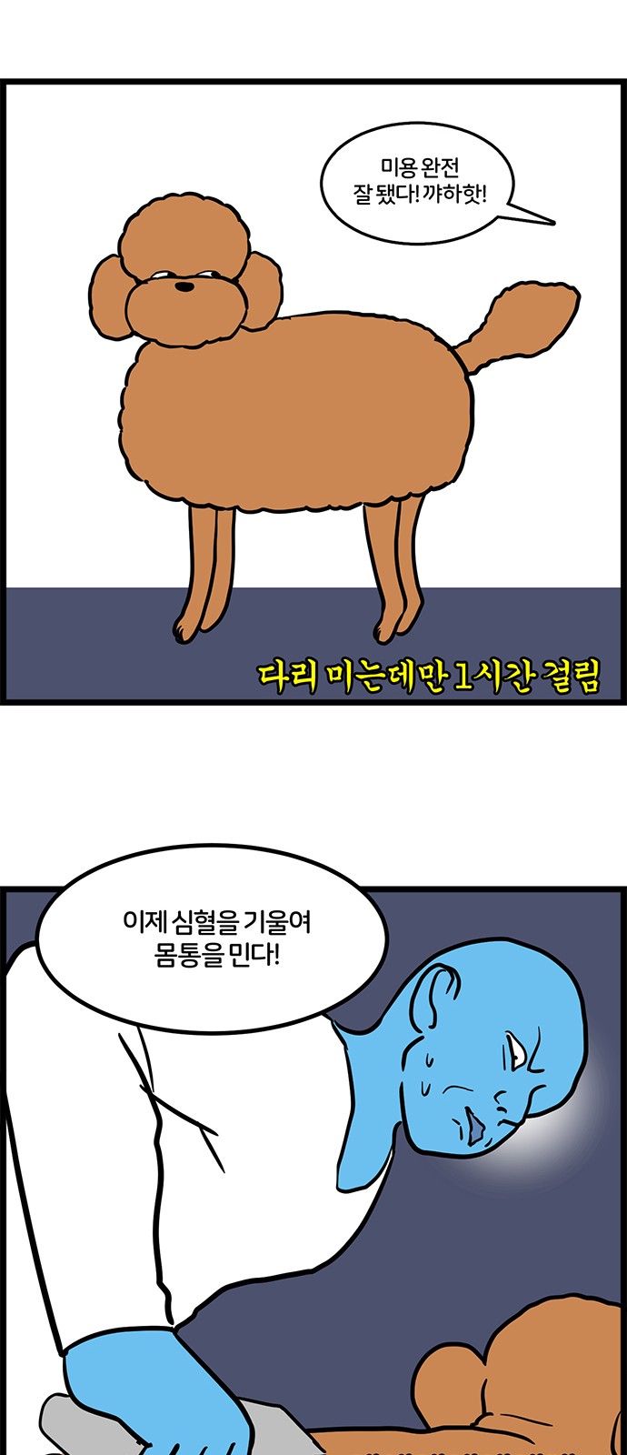 6 페이지