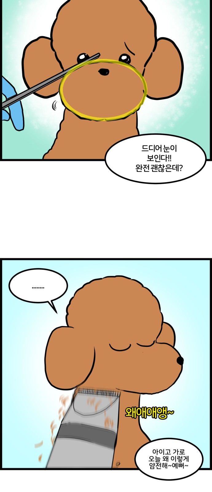 9 페이지