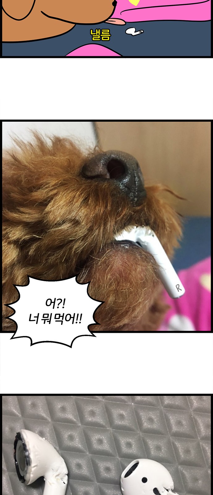 14 페이지