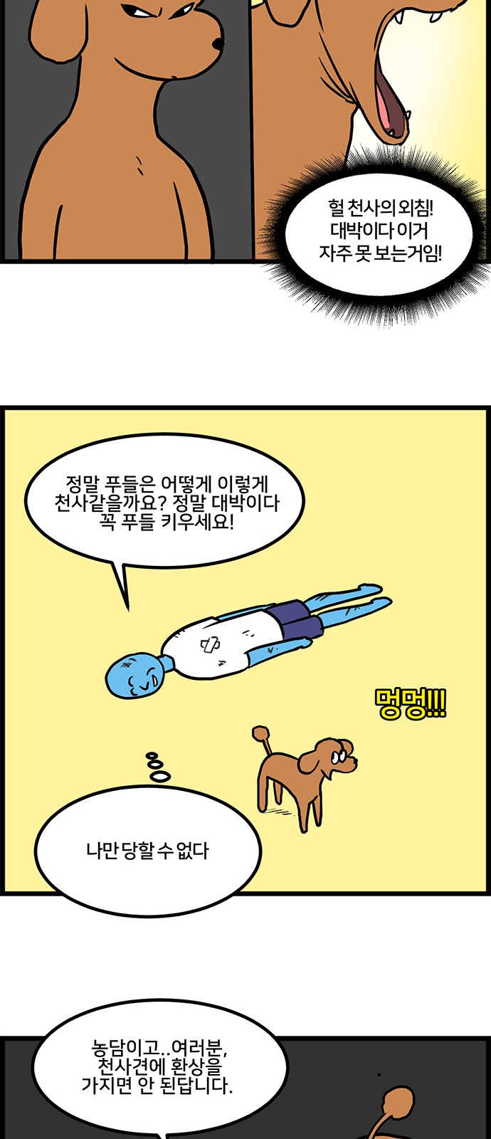 12 페이지