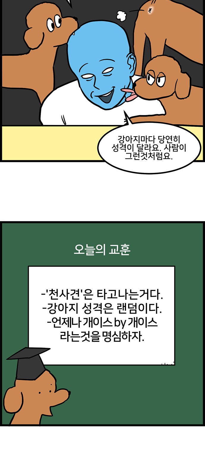 13 페이지