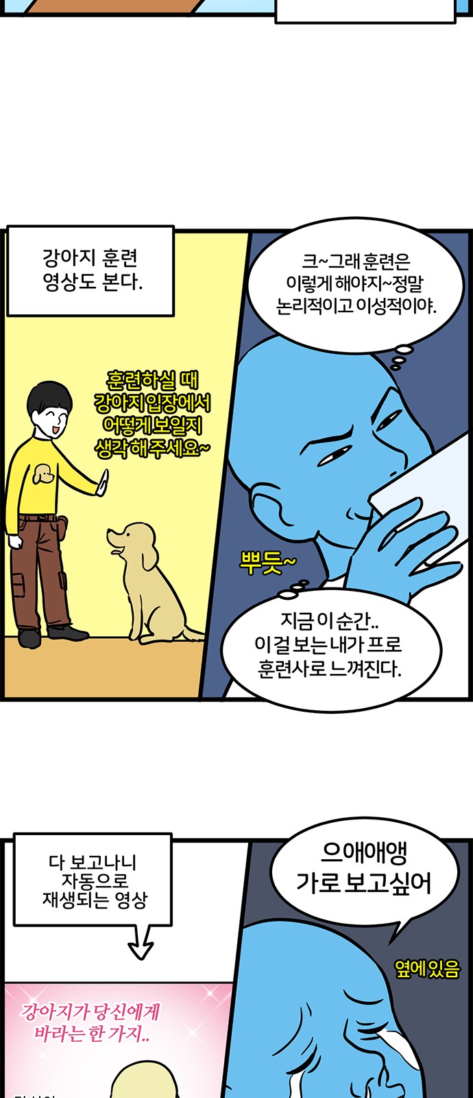 11 페이지