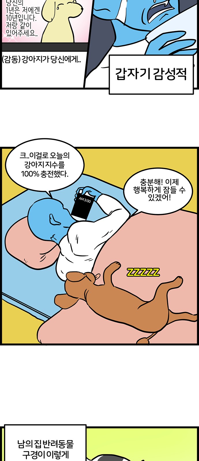 12 페이지