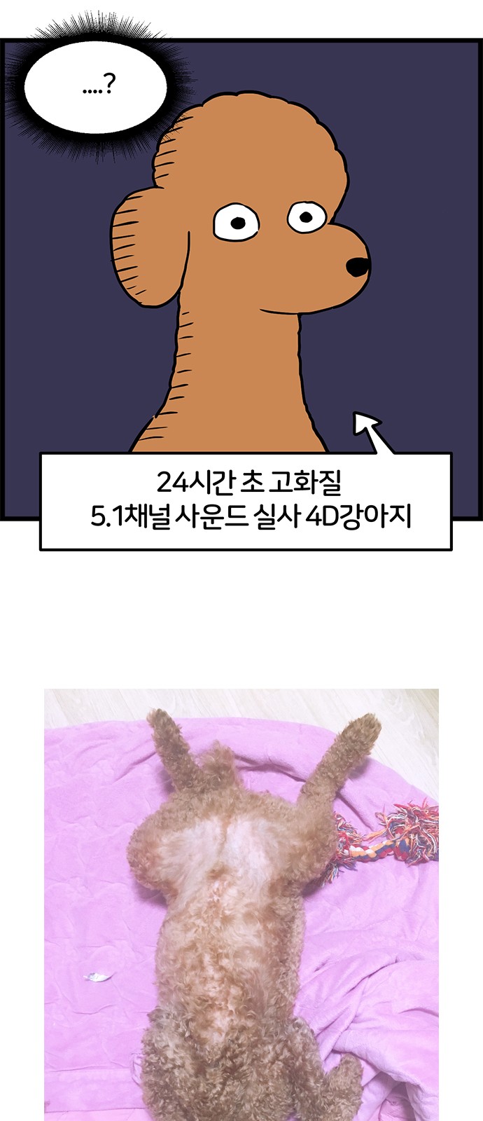 14 페이지