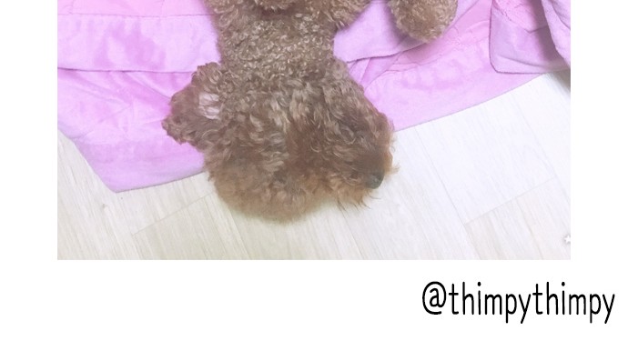 15 페이지