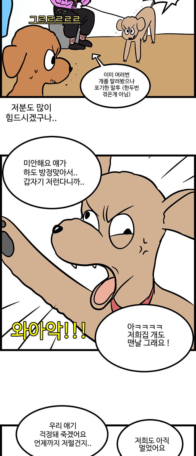 13 페이지