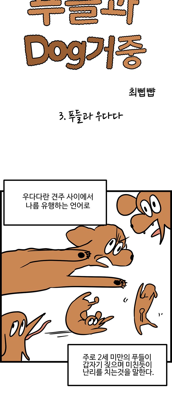 5 페이지
