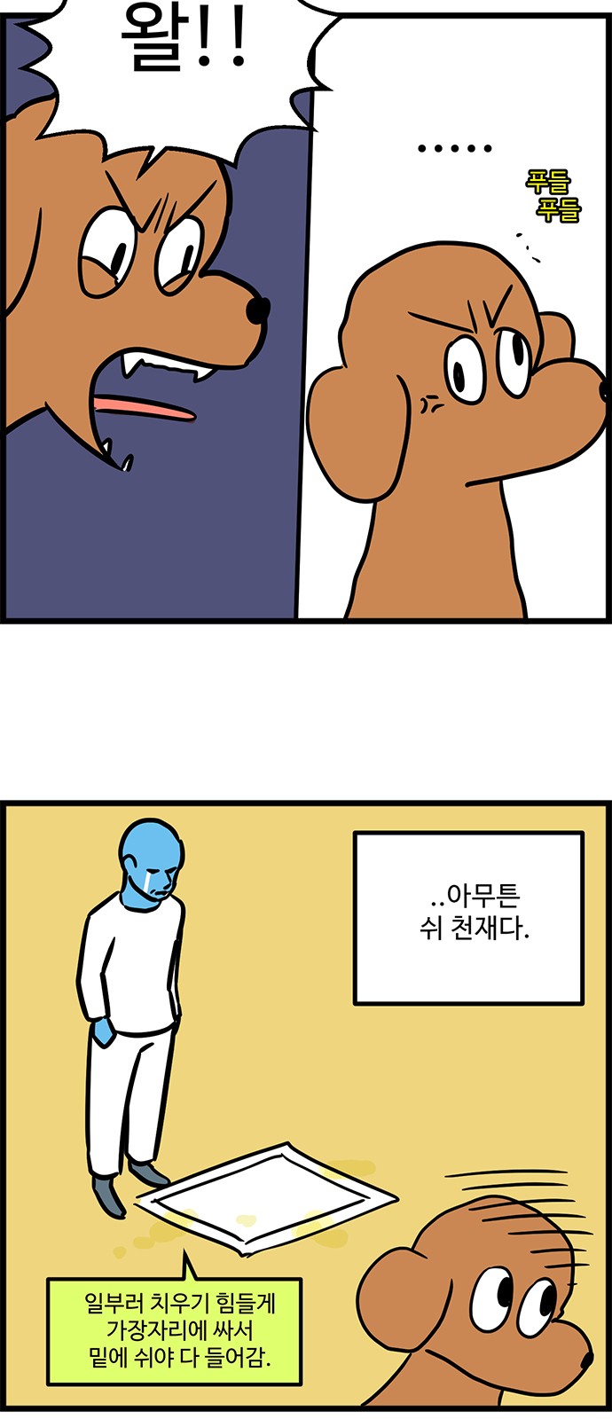 11 페이지