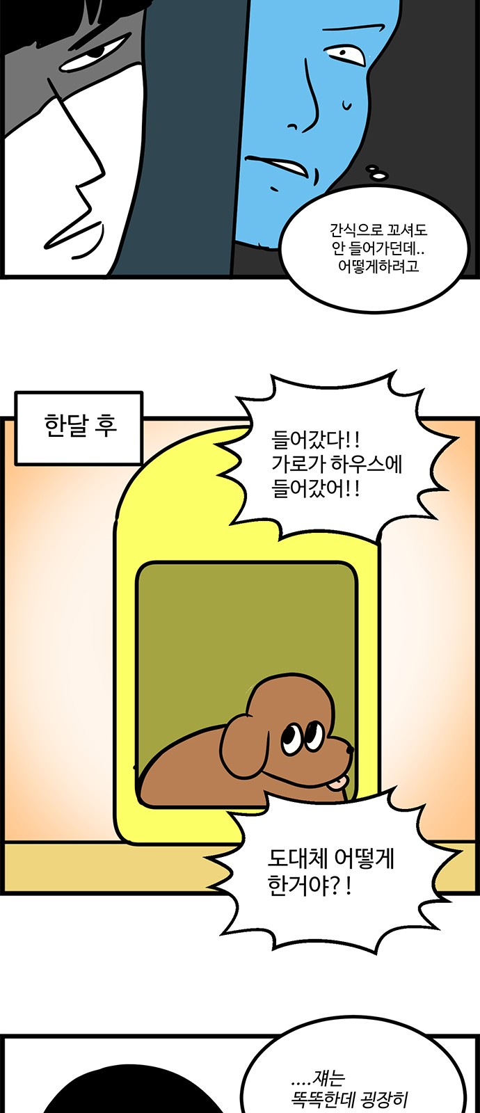 14 페이지