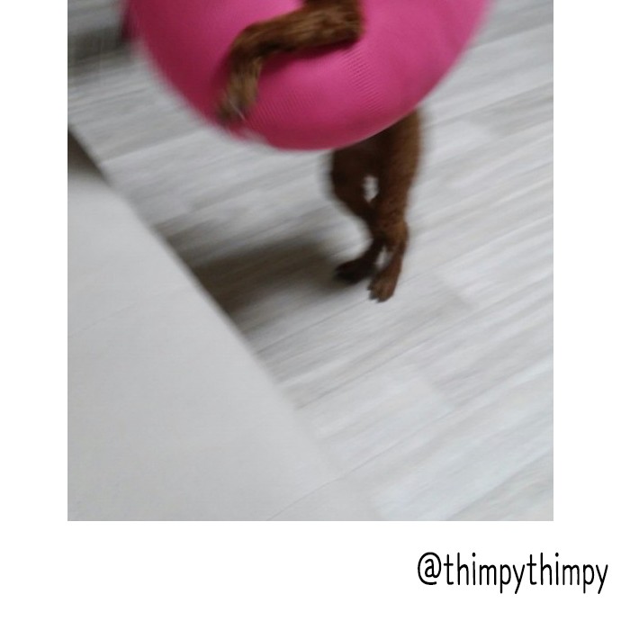 19 페이지