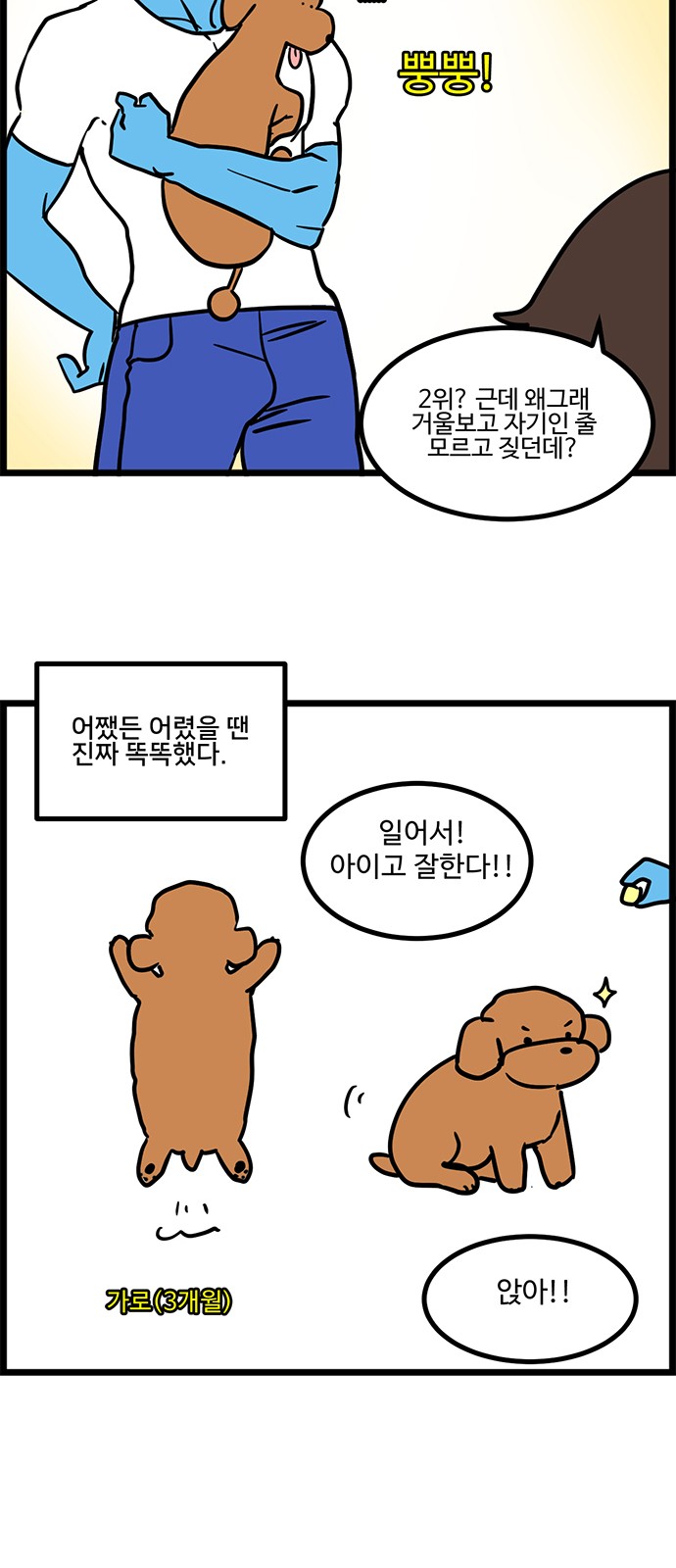 5 페이지