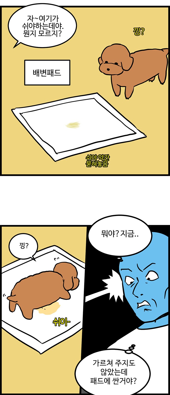 6 페이지
