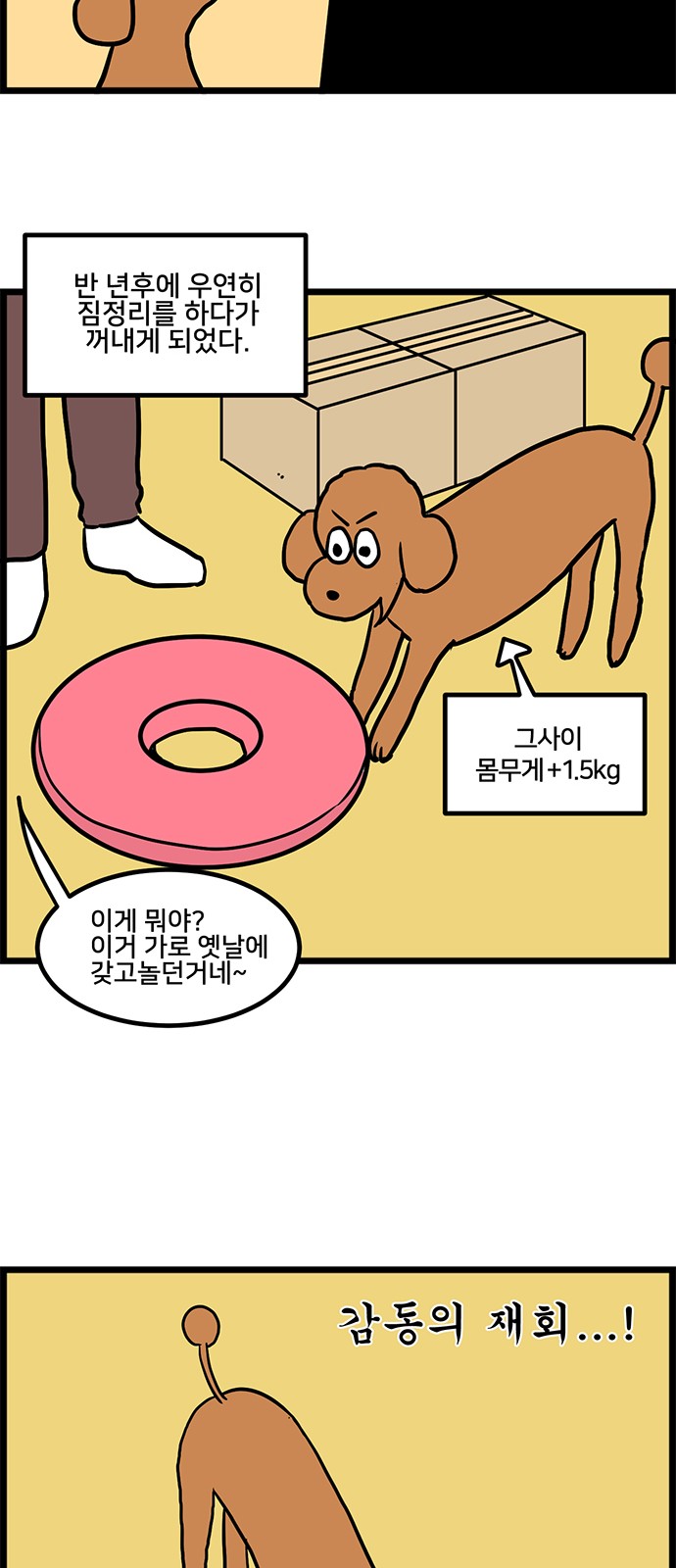 11 페이지