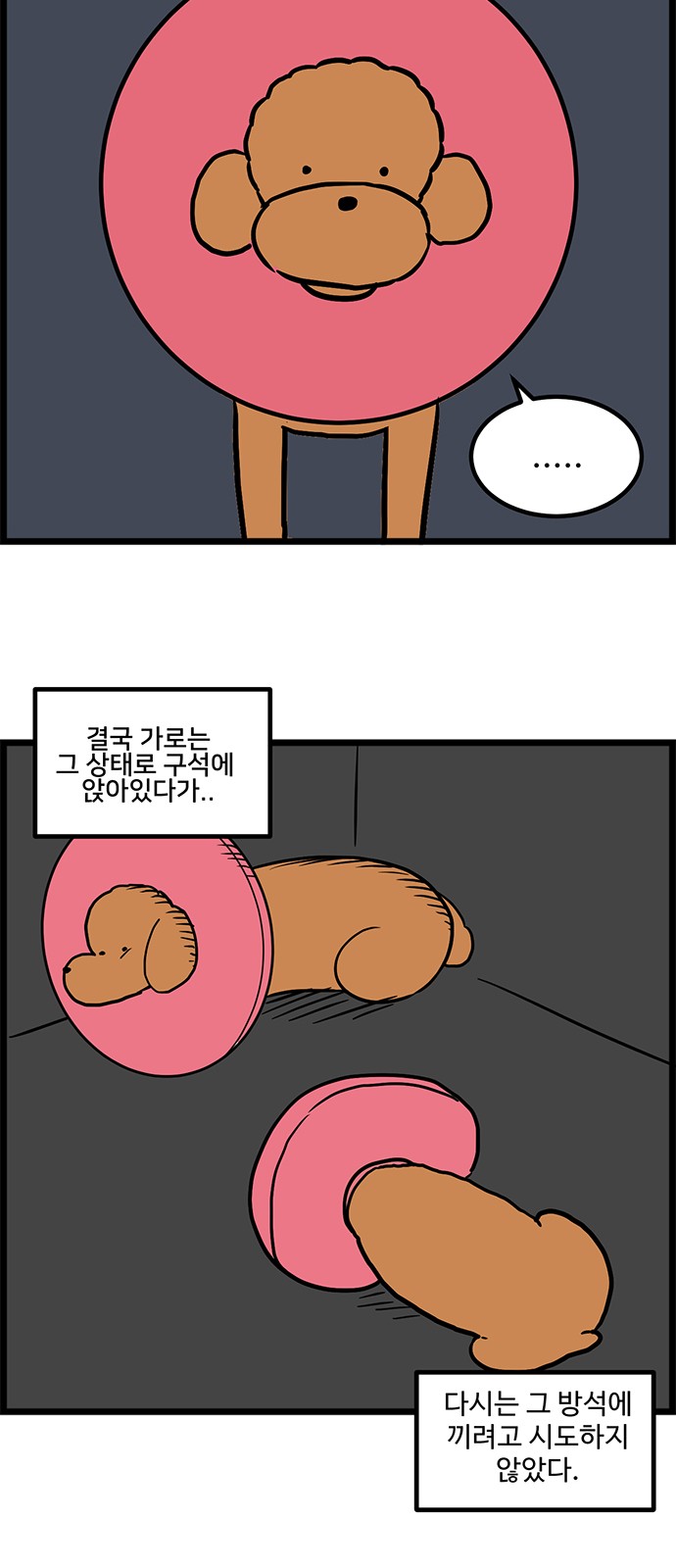 13 페이지