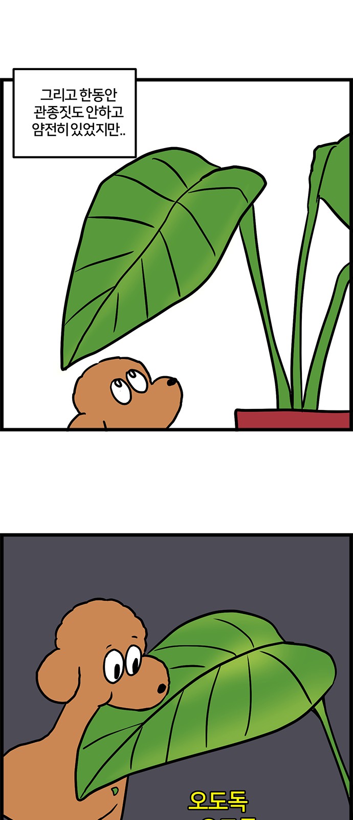 14 페이지