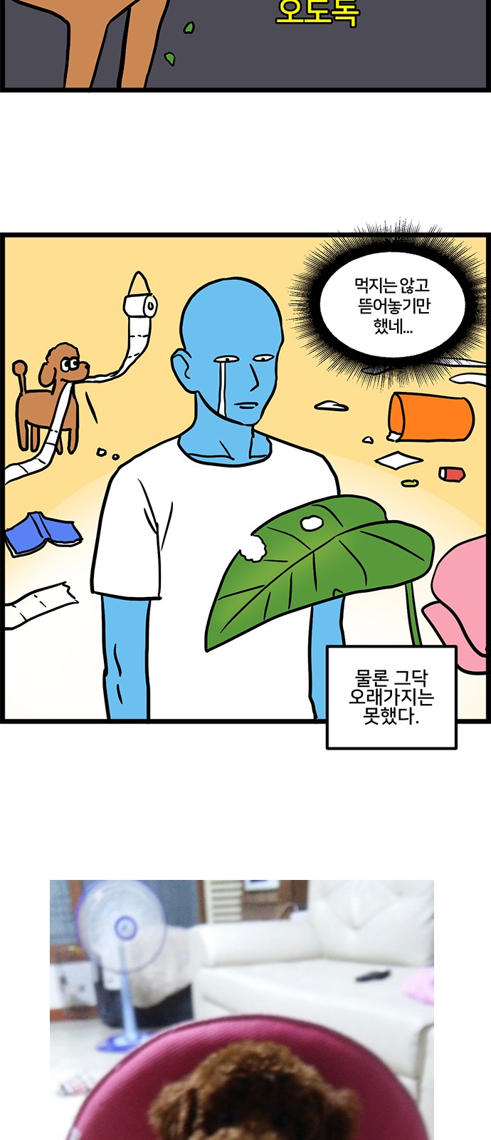 15 페이지