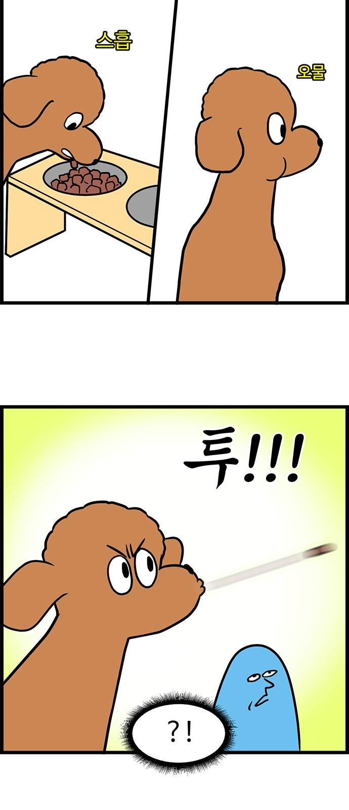 5 페이지