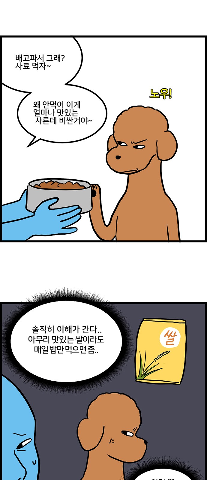 5 페이지