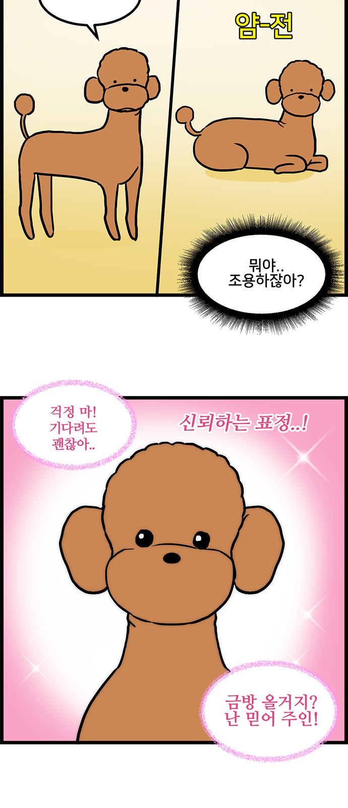 12 페이지