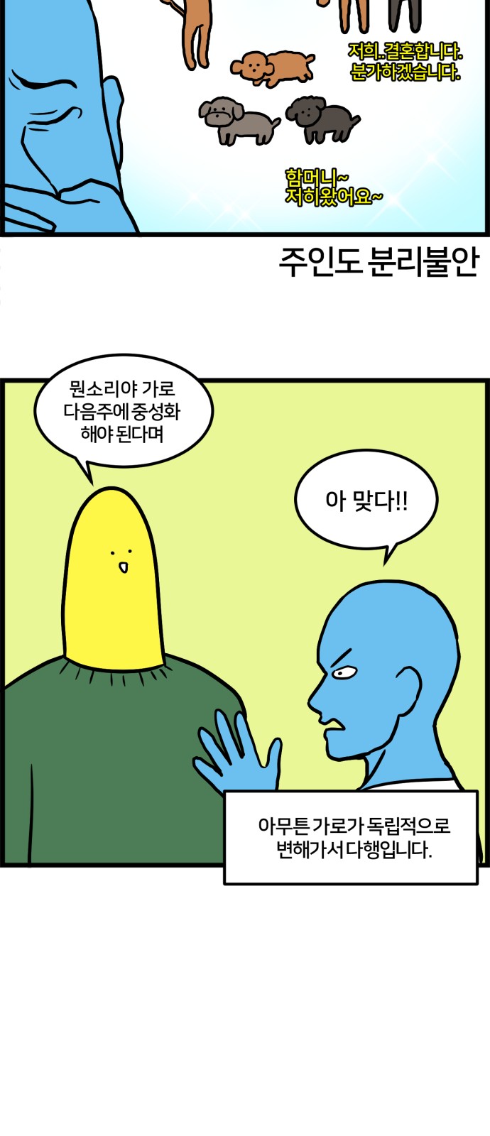 15 페이지