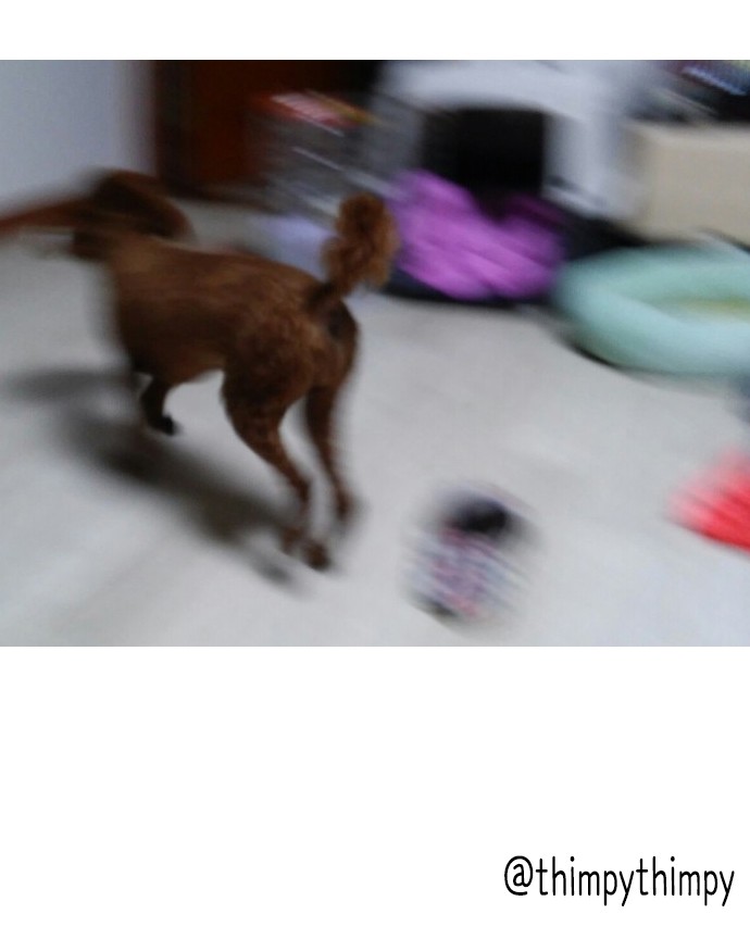 16 페이지