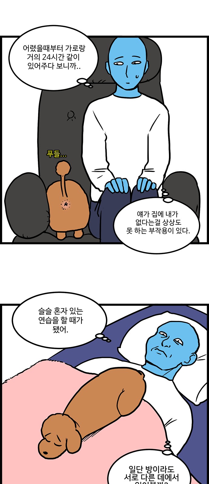 5 페이지