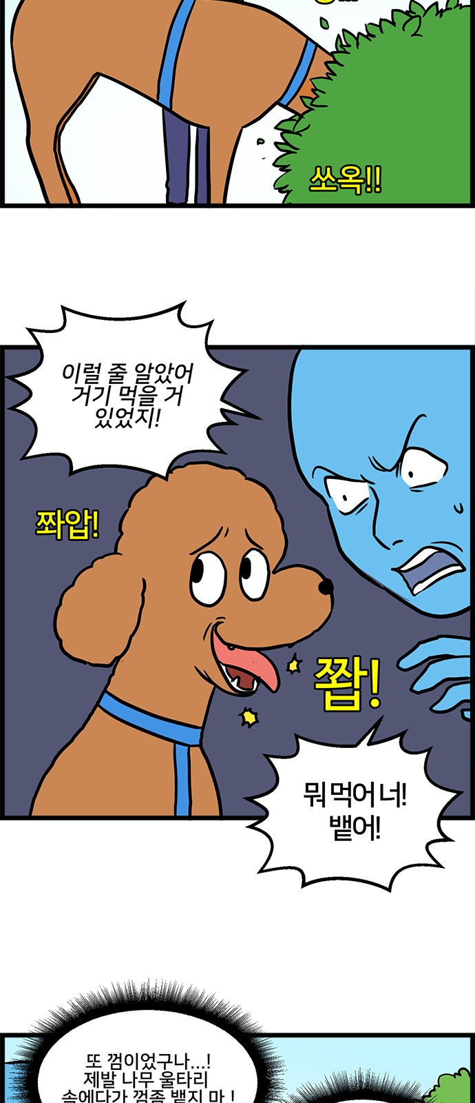 11 페이지