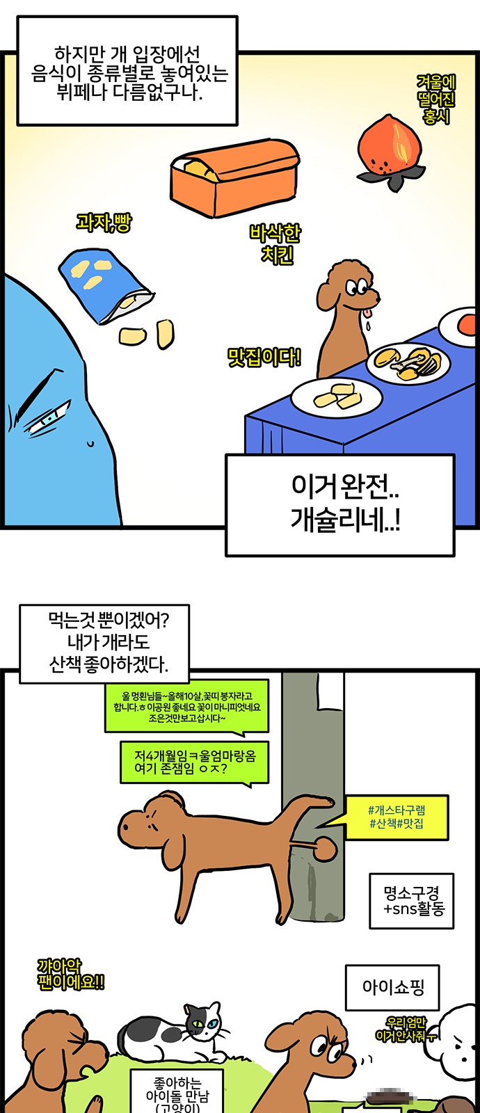 13 페이지