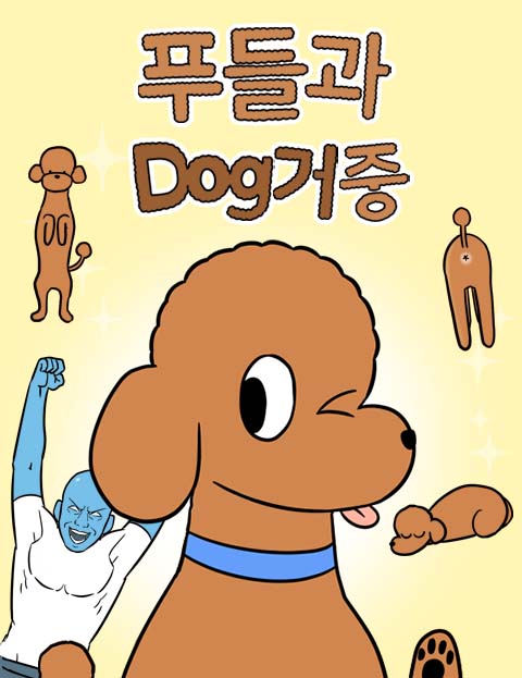 푸들과 Dog거중 …